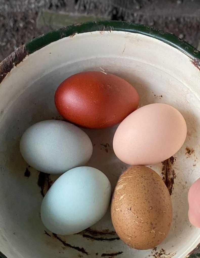 Gekleurde eieren bij het gourmetten